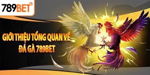 Đá Gà 789BET là điểm đến tin cậy của nhiều người chơi