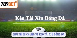 Giới thiệu chung về kèo tài xỉu bóng đá